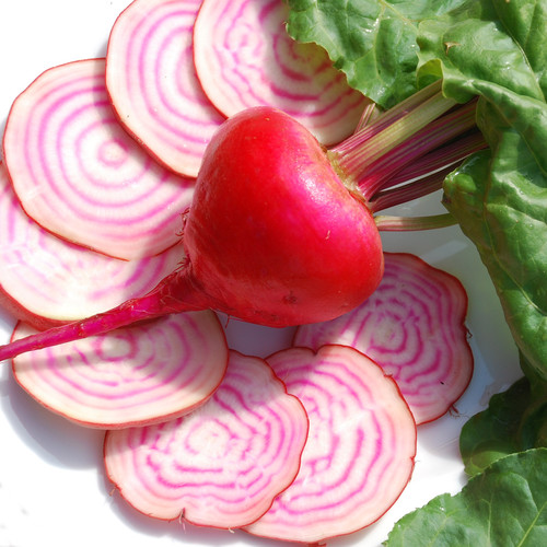 Chioggia Seeds Candy Stripe Beet Beetroot Plant World Seeds