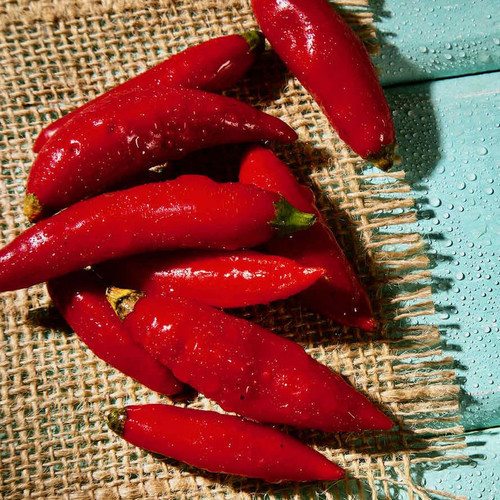 Hot Pepper Seeds - Tabasco, Vegetable Seeds in Packets & Bulk